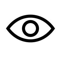 Show Password as Plain Text